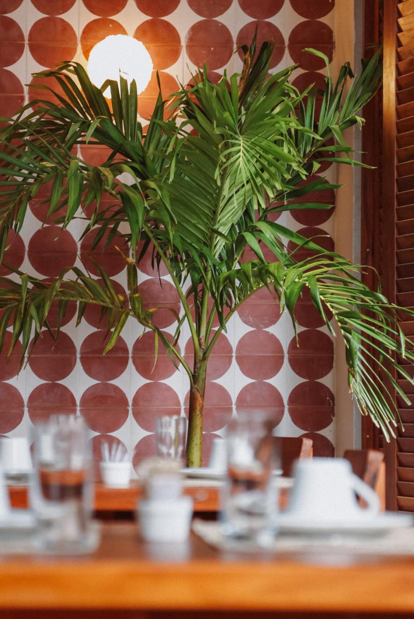 Luau Hotel Guajiru  Eksteriør billede